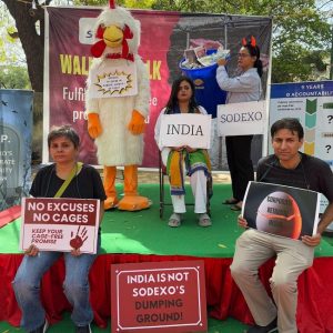 Animal Rights Groups Slam Sodexo for Neglecting Cage-Free Egg Promise in India